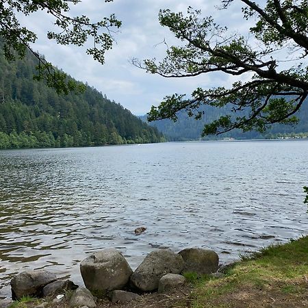 Charmant Chalet, Spacieux, Proche Du Lac, Vue Sur La Montagne Жерарме Экстерьер фото