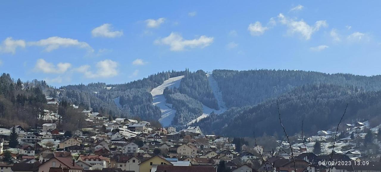 Charmant Chalet, Spacieux, Proche Du Lac, Vue Sur La Montagne Жерарме Экстерьер фото