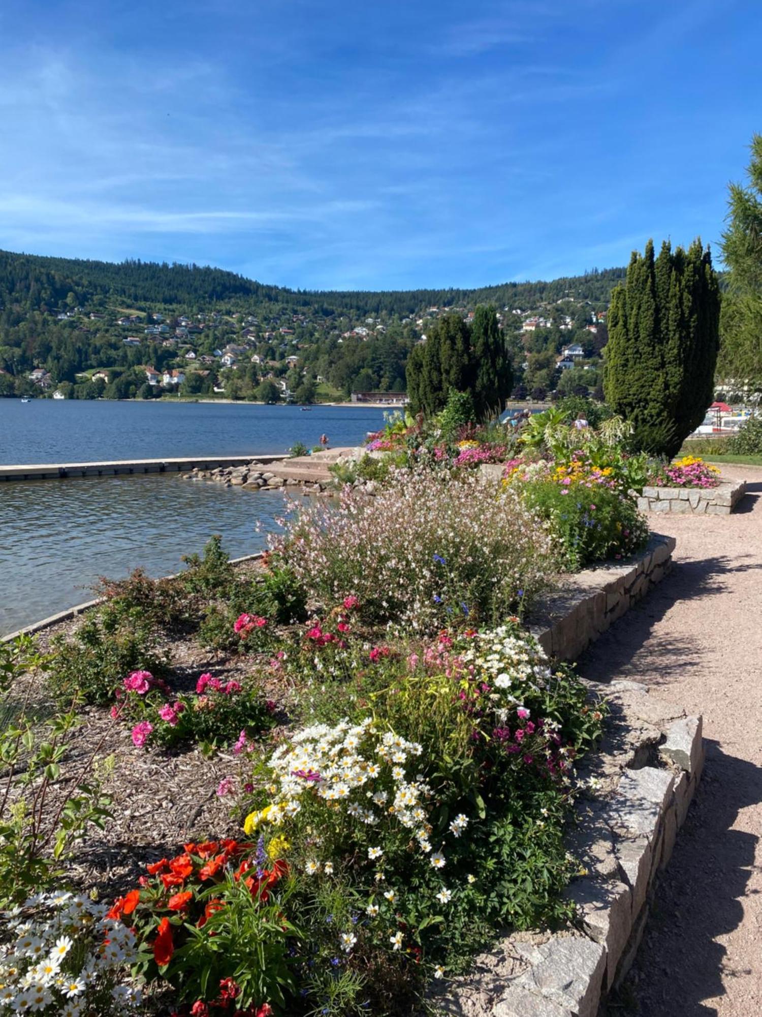 Charmant Chalet, Spacieux, Proche Du Lac, Vue Sur La Montagne Жерарме Экстерьер фото