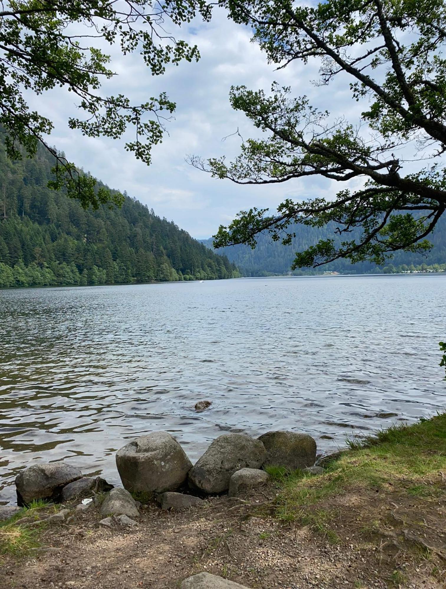 Charmant Chalet, Spacieux, Proche Du Lac, Vue Sur La Montagne Жерарме Экстерьер фото